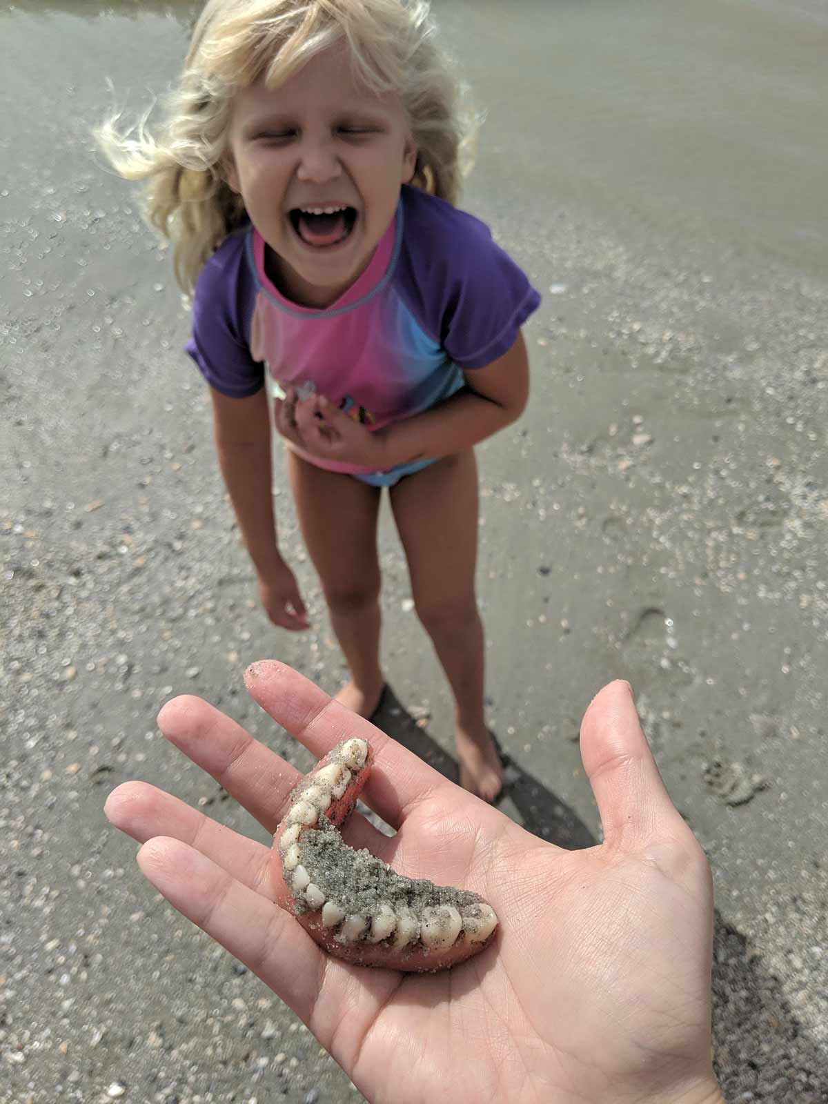 Treasure Hunting