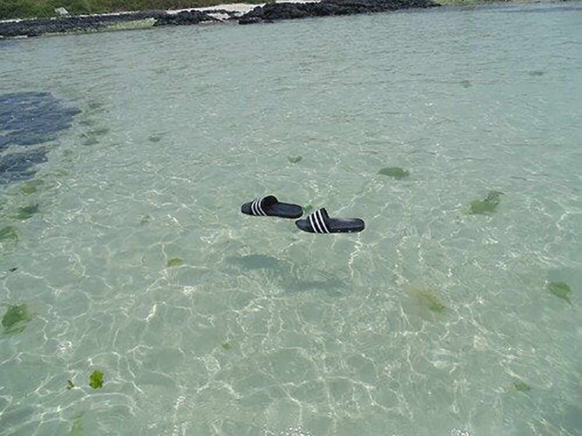 Walking on Water