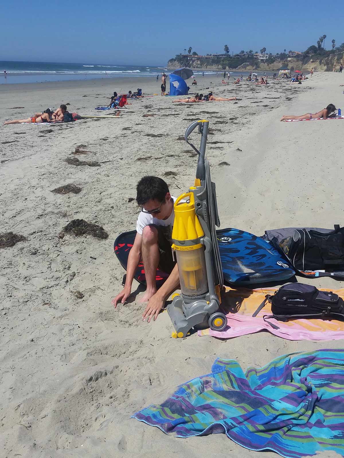 An Unusual Beach Companion