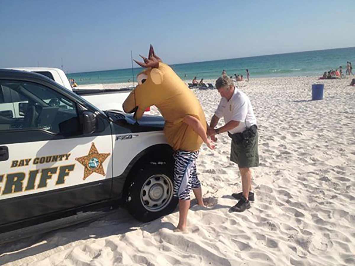 Crime Doesn't Neigh