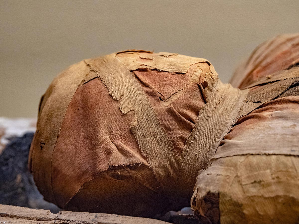 Mummified Body of Manfred Fritz Bajorat