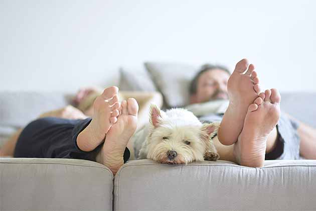 Laying on Your Feet