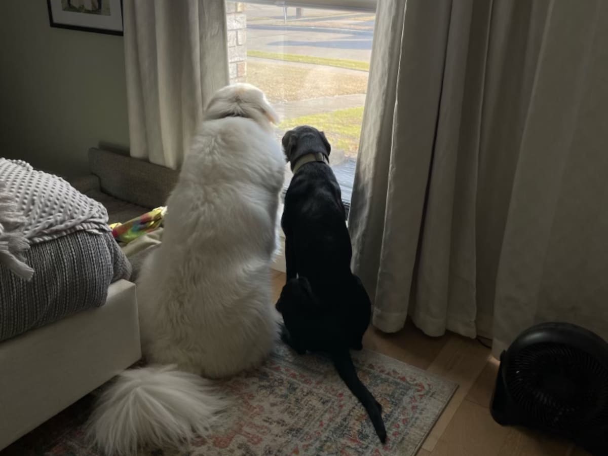 Siting at the Window