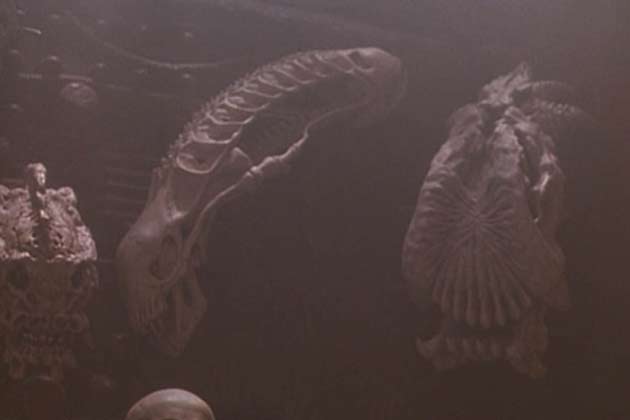Predator 2 (1990) – The Xenomorph Alien Skull
