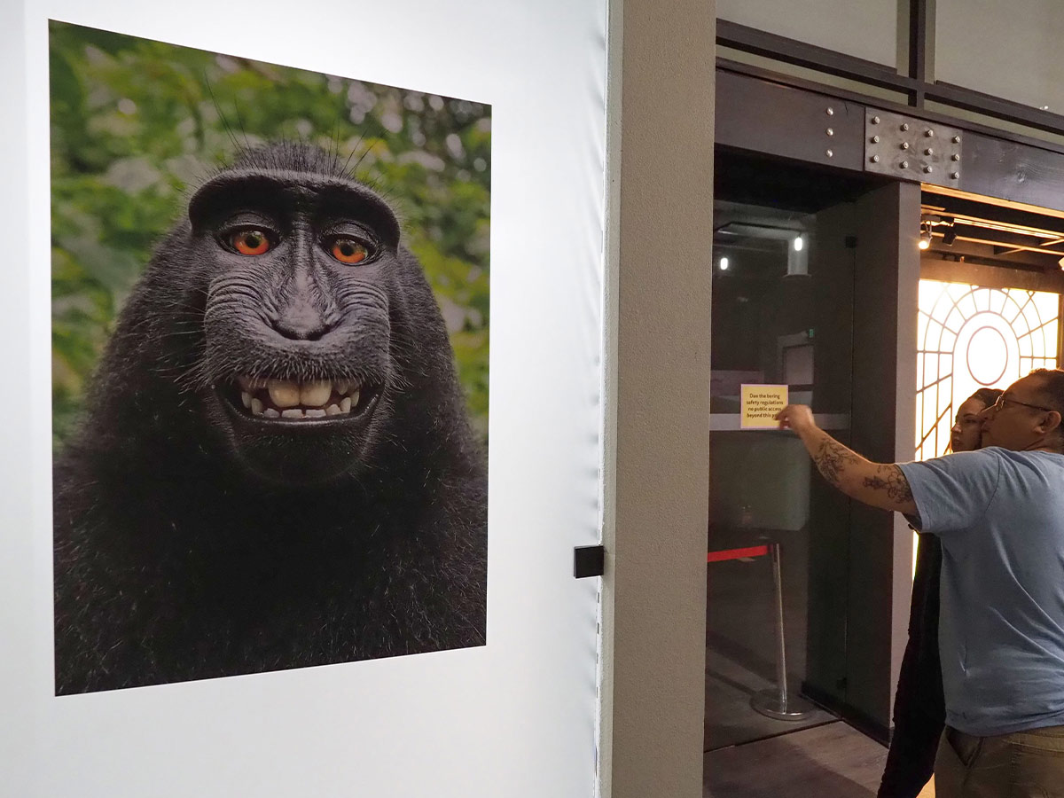 On Behalf of the Monkey