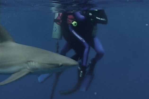 Open Water