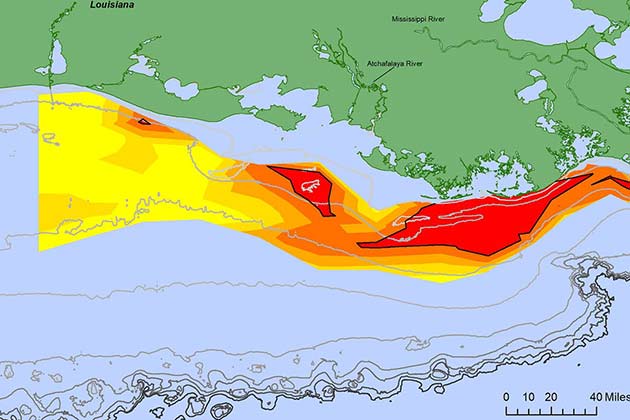 2019 Gulf Dead Zone: Comparison to Other Years