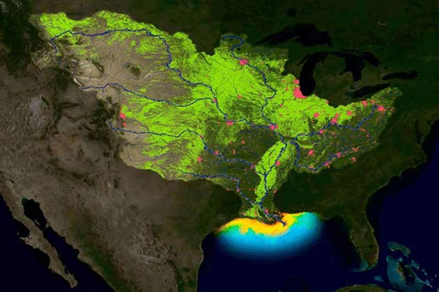 2019 Gulf Dead Zone: Size