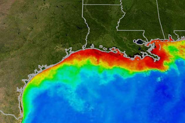 What is the Gulf Dead Zone?