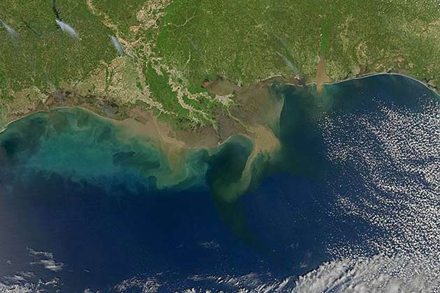 History of the Gulf Dead Zone: Study