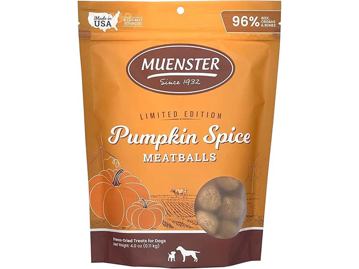 Pumpkin Spice Meatballs (For Dogs)