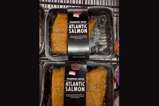 Salmon