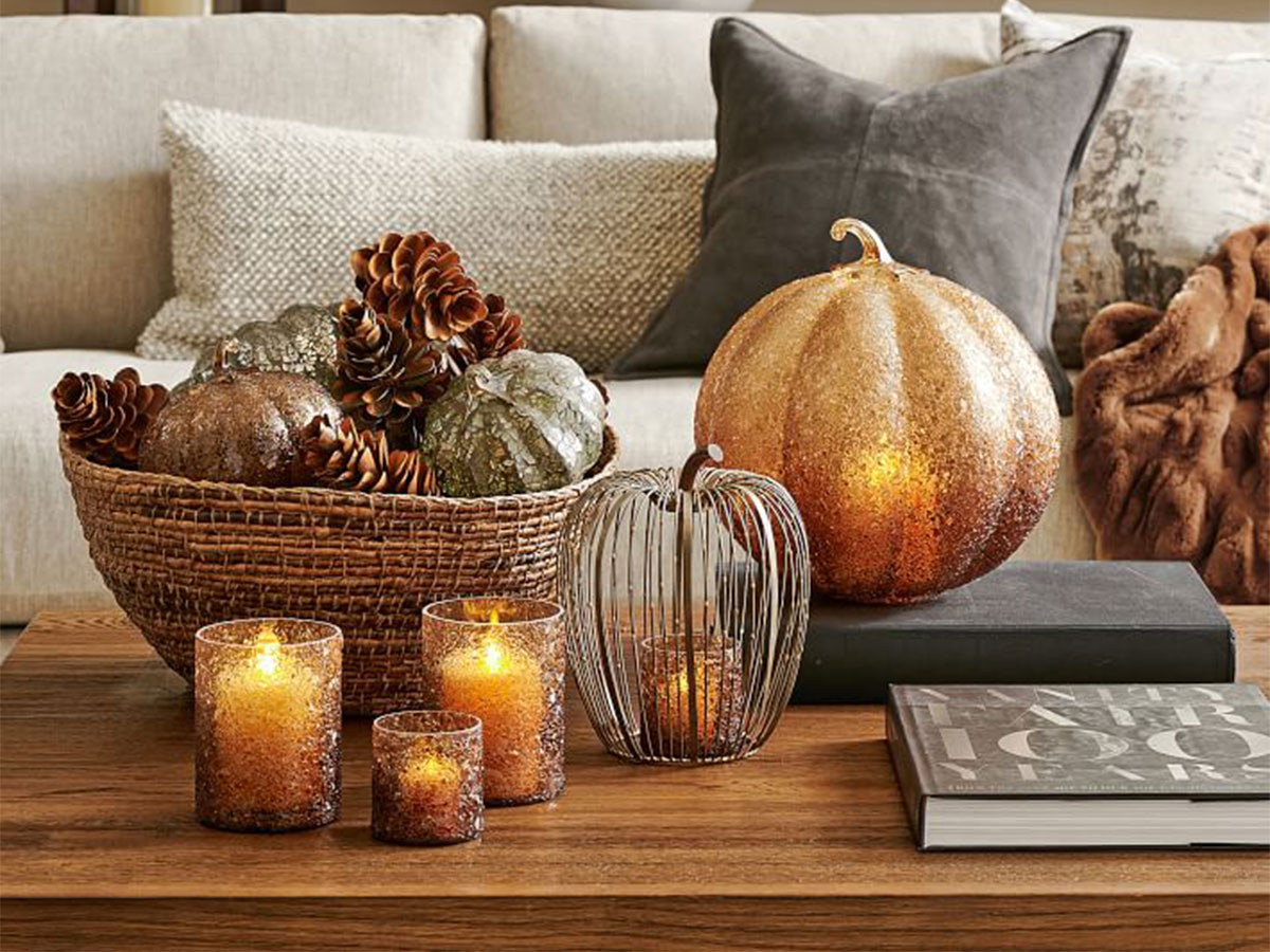 Decorative Pumpkins and Gourds