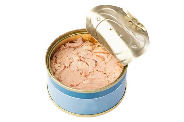 Canned Tuna