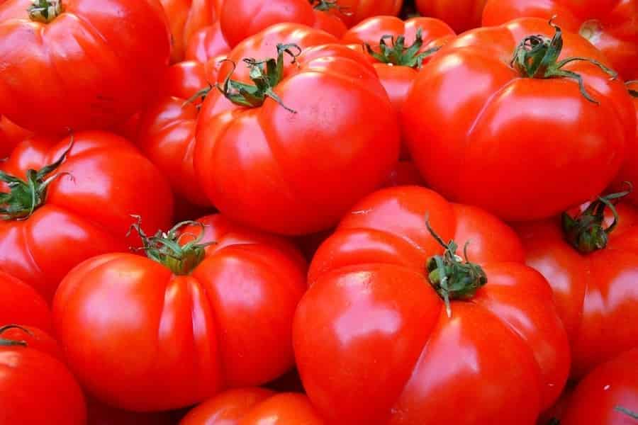 Tomatoes