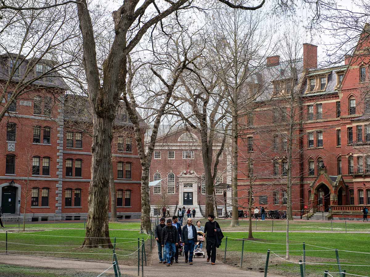 Harvard University