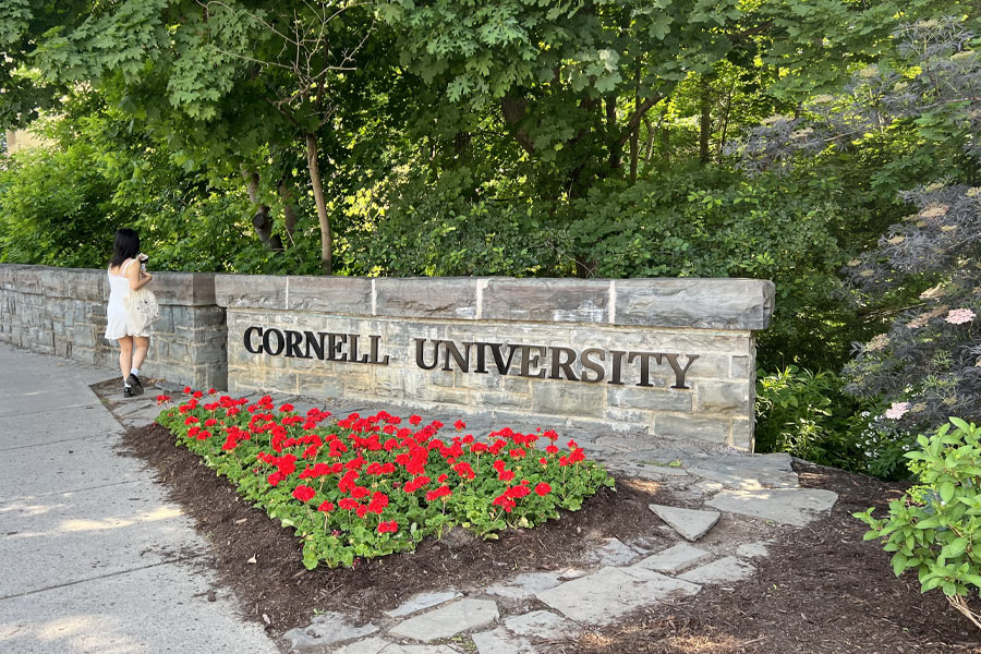 Cornell University