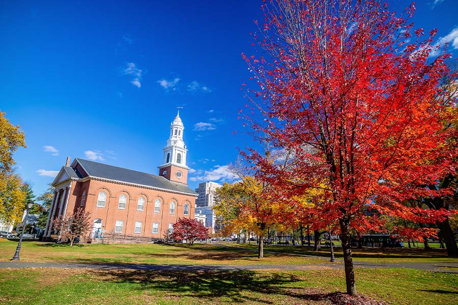 Yale University