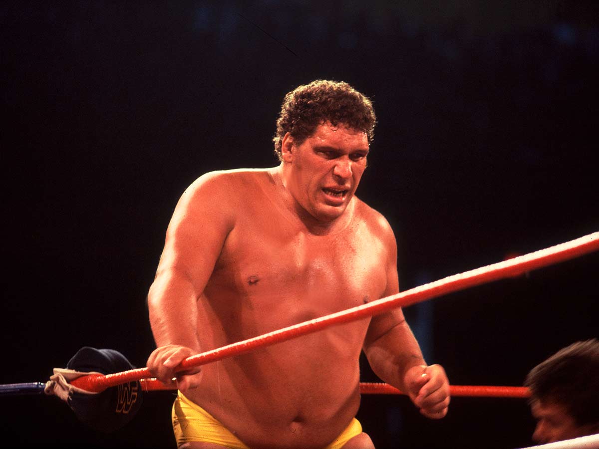 Andre the Giant