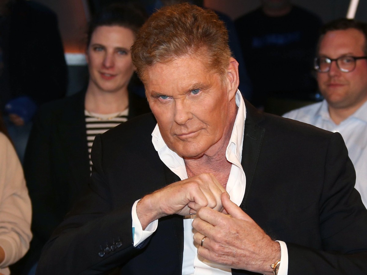David Hasselhoff (NOW)