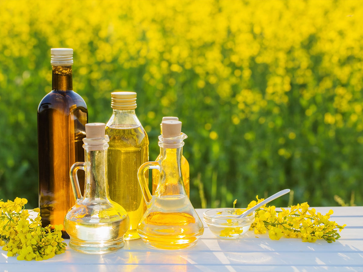 Canola Oil