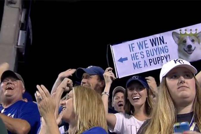 Puppy Prize