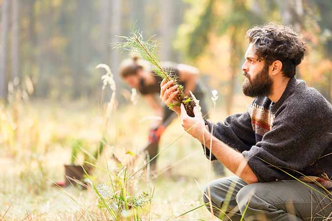 Forest and Conservation Worker