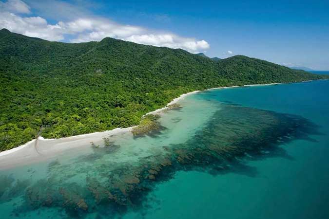 Cape Tribulation, Australia