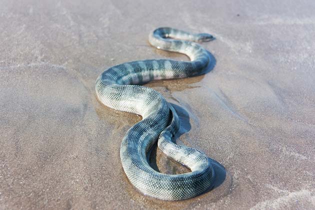 Cable Beach, Australia