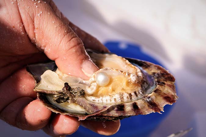 Ambergris = Pearls