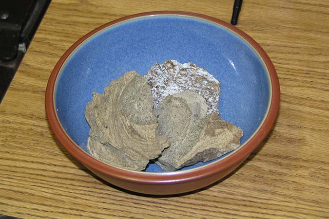 Could it Be Ambergris?