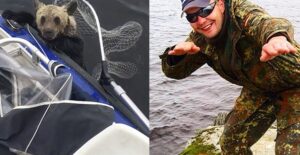fishermen risk their lives to save bear cubs from icy lake