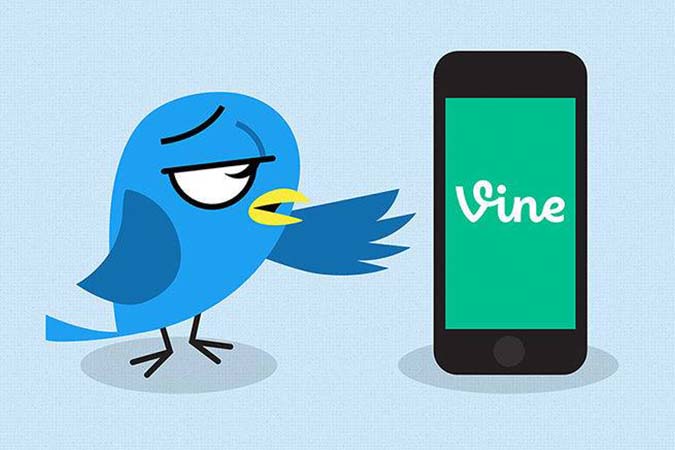 Vine