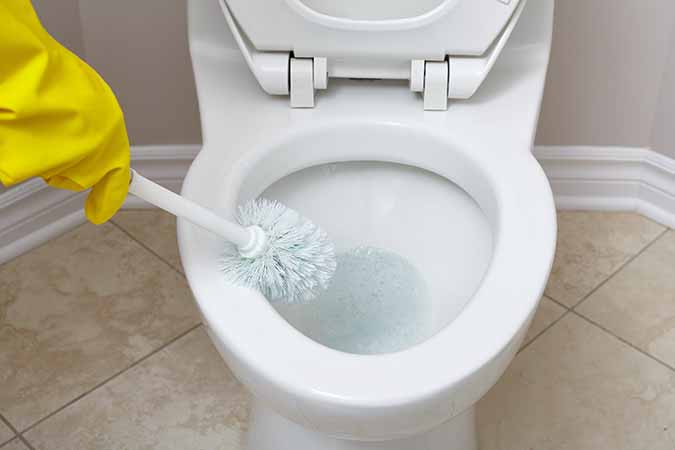 Not Cleaning the Toilet Brush and Plunger