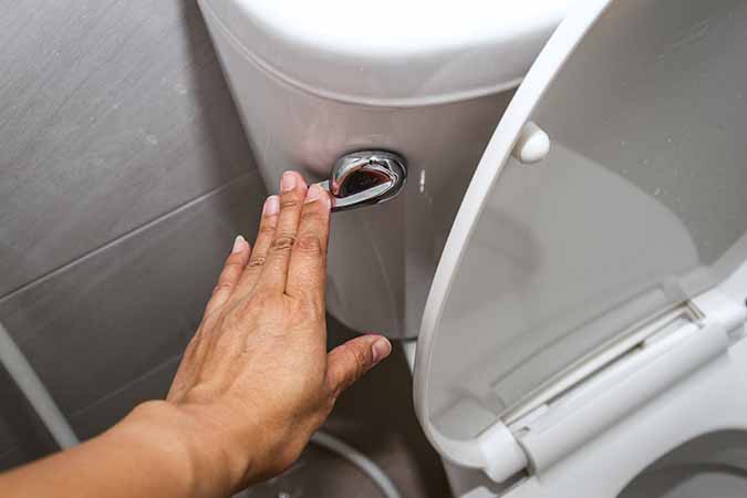 Flushing the Toilet with the Lid Open