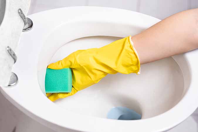 Not Cleaning the Toilet Enough