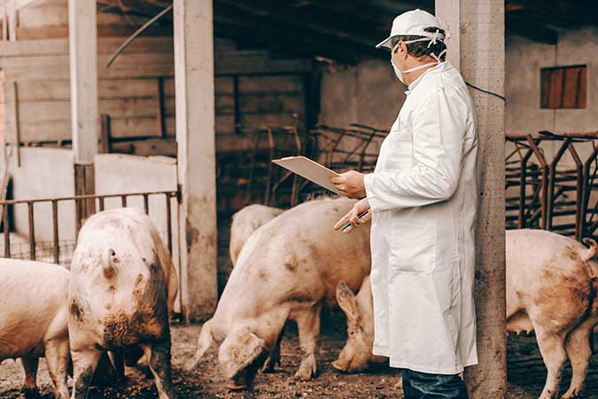 Livestock Breeder