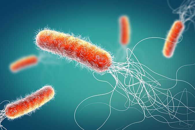 Pseudomonas Infection