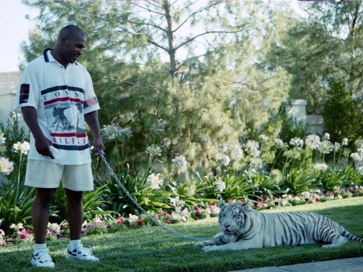 Mike Tyson ($140,000 Tigers)