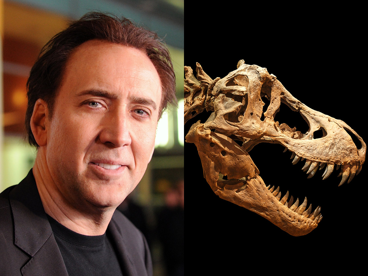 Nicolas Cage (A $276,000 Dinosaur Bone)