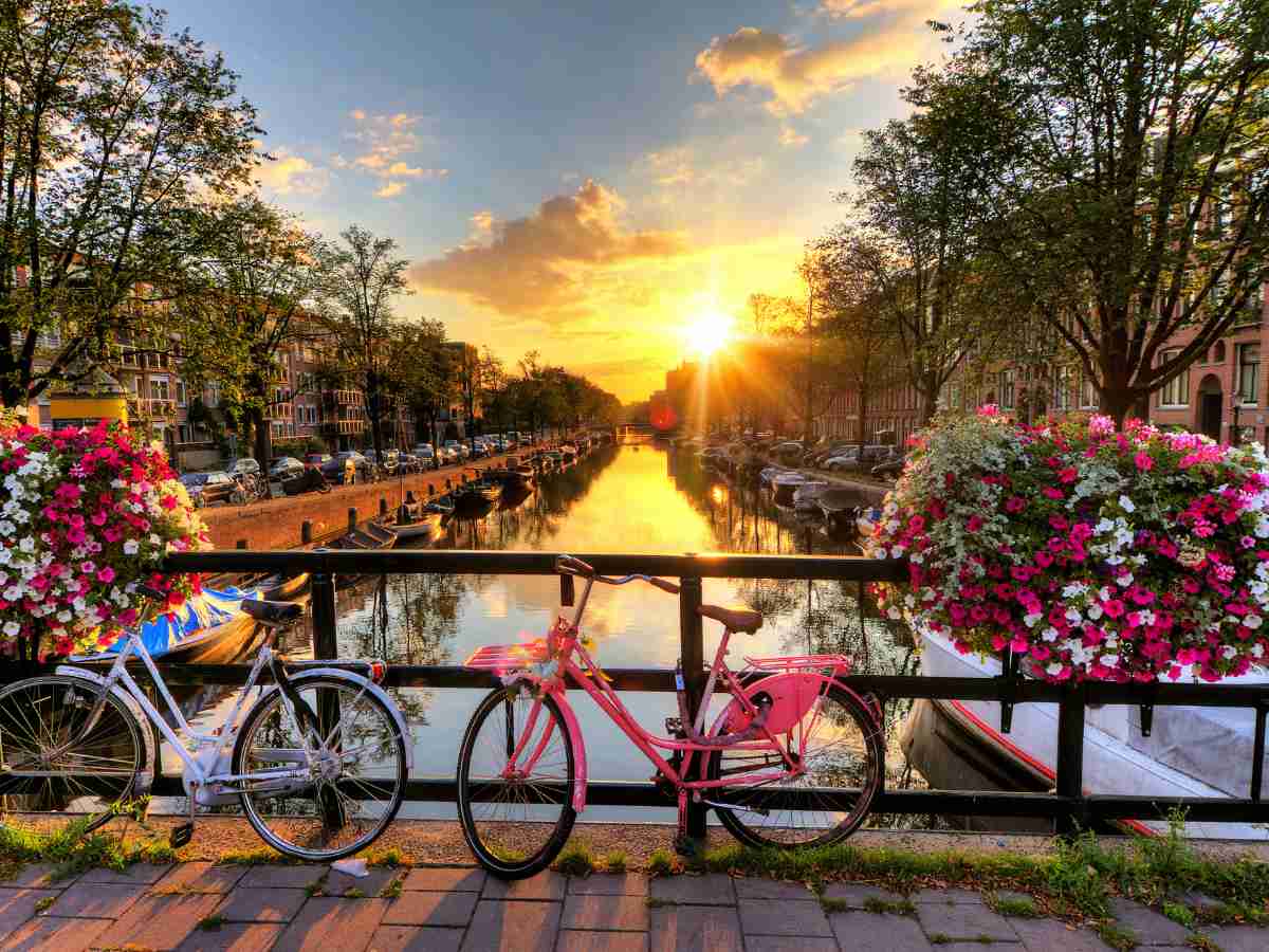 Amsterdam (What to Do)