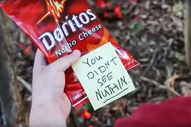 The Missing Cat (Doritos)
