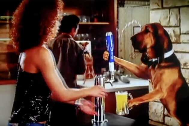 The Dog Sitter (Bud Light)
