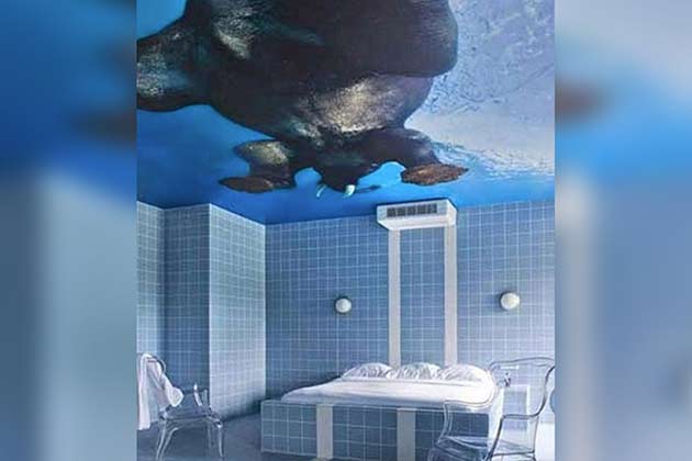 The Elephant in the Room