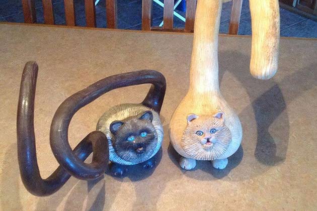 Purr-kins and Gourds