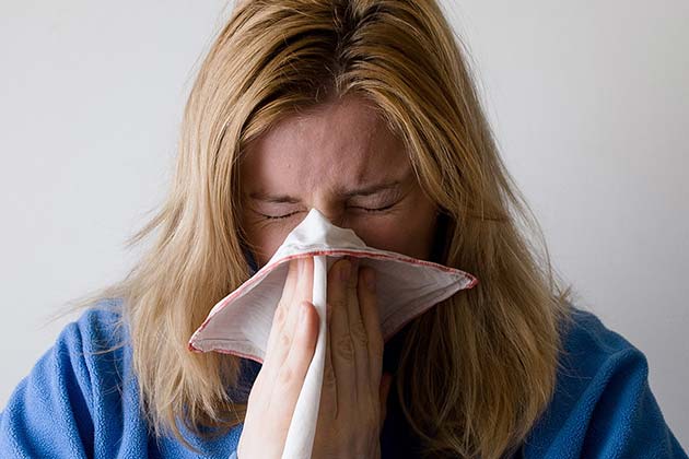 The Flu