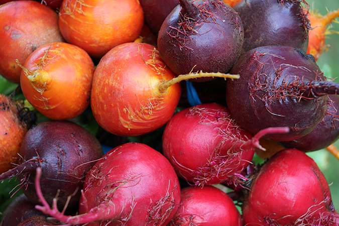 Beets