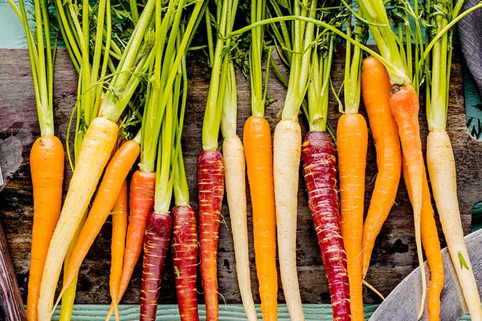 Carrots