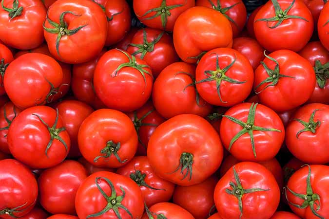 Tomatoes