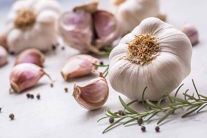 Garlic and Herbs